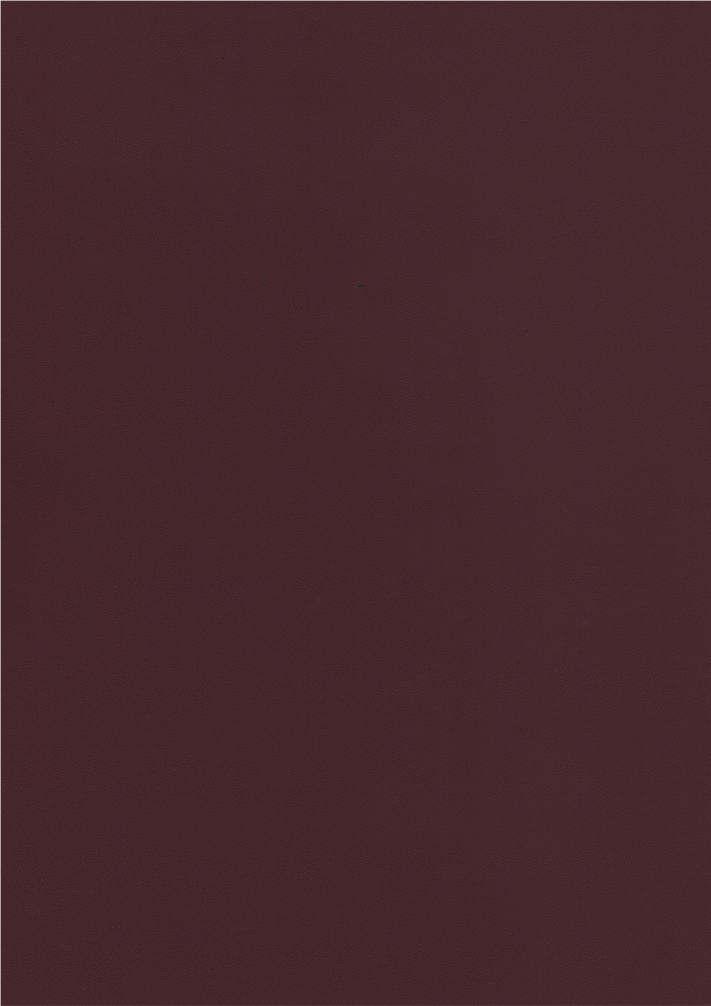 2KIN-RS503-Crimson (RS 503)